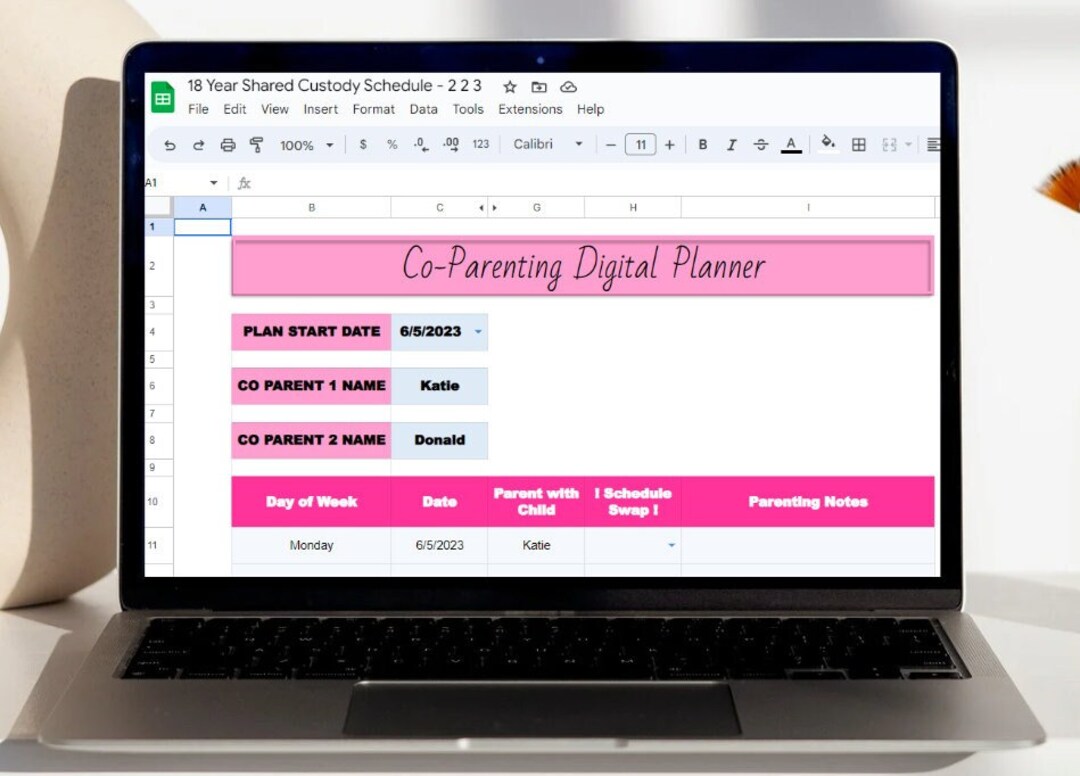 18 year Co parenting Schedule For Divorced Parents 2 2 3 Etsy UK