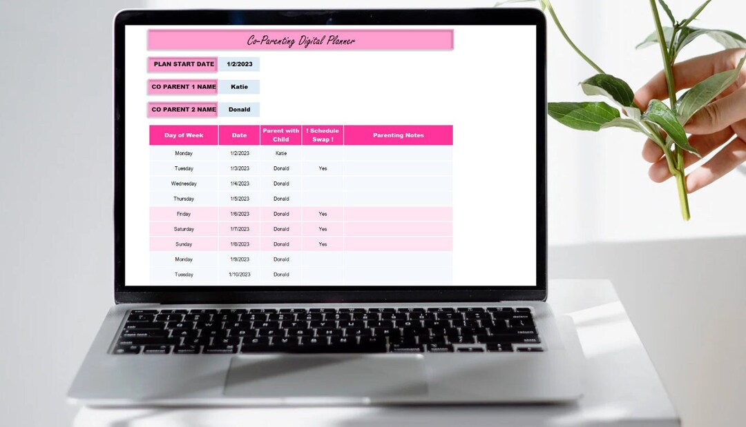 18-year-co-parenting-schedule-for-divorced-parents-pre-etsy