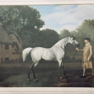 May include: A painting of a man in a brown coat holding a white horse's reins. The horse is standing in a field with a small cottage in the background.