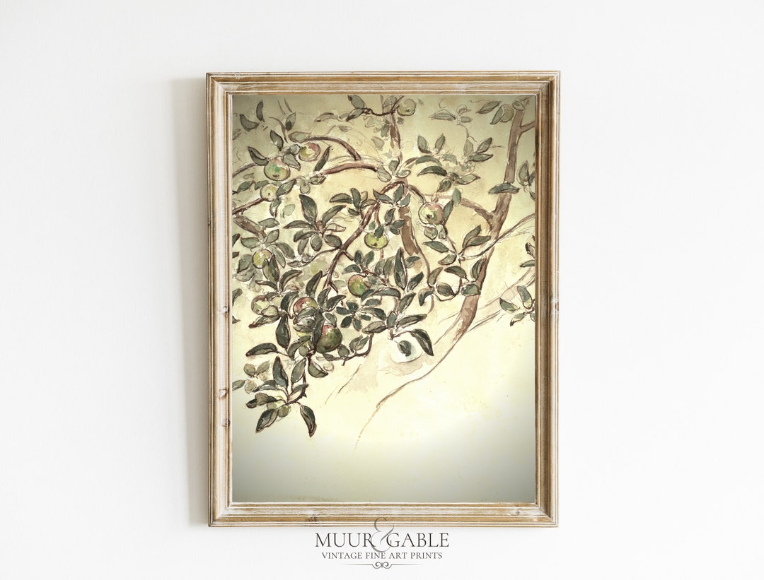 Vintage Apple Tree Print Vintage Tree Sketch Neutral Farmhouse Wall Art