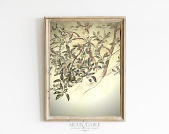 Vintage Apple Tree Print | Vintage Tree Sketch | Neutral Farmhouse Wall Art | Printable Botanical Sketch | European Art | 1069