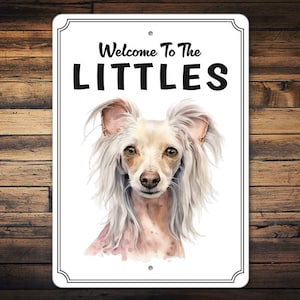 Aangepaste Chinese Crested Dog cadeau | Chinese Naakthond | Chinees Kuifteken | Verandabord voor een hond | Veranda teken decor | Hondencadeau | Metalen bord
