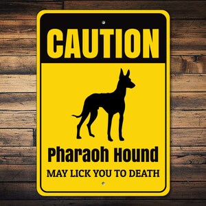 Pharaoh Hound, Caution Dog Sign, Dog Breed Sign, Pharaoh Hound Decor, Dog Humor Sign, Pharaoh Hound Gift, Dog Warning Sign - Dog Metal Sign