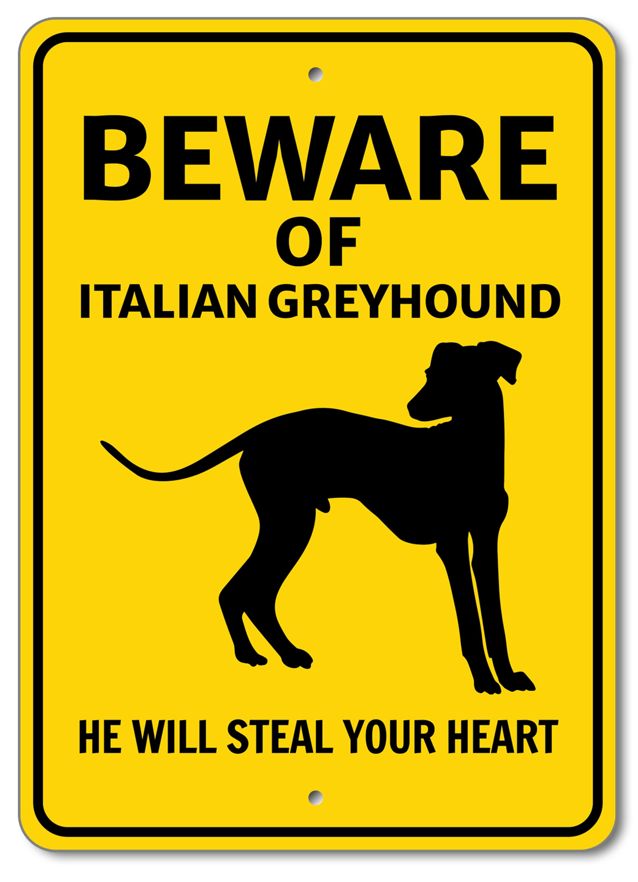 直筆サイン入 HOUND DOG「we are the HOUND DOG」 il_fullxfull.5133804695_g6zk.jpg