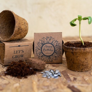 Könnte beinhalten: Eine braune Pappbox mit einem Sonnenblumenmuster und dem Text "Happy Birthday". Die Box enthält einen kleinen braunen biologisch abbaubaren Topf mit Erde und einer Sonnenblumenjungpflanze. Außerdem gibt es eine kleine Tüte Sonnenblumensamen und einen zweiten braunen biologisch abbaubaren Topf mit dem Text "Lass uns wachsen".