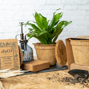 May include: A set of eco-friendly gardening supplies including a coir pot, coir block, coir top cover, and a small gardening trowel. The packaging is brown with the text "cEyCO Coir Pot, Top Cover, & Coir Block Medium Seed Pack 100% Bio-Friendly Made in Sri Lanka".