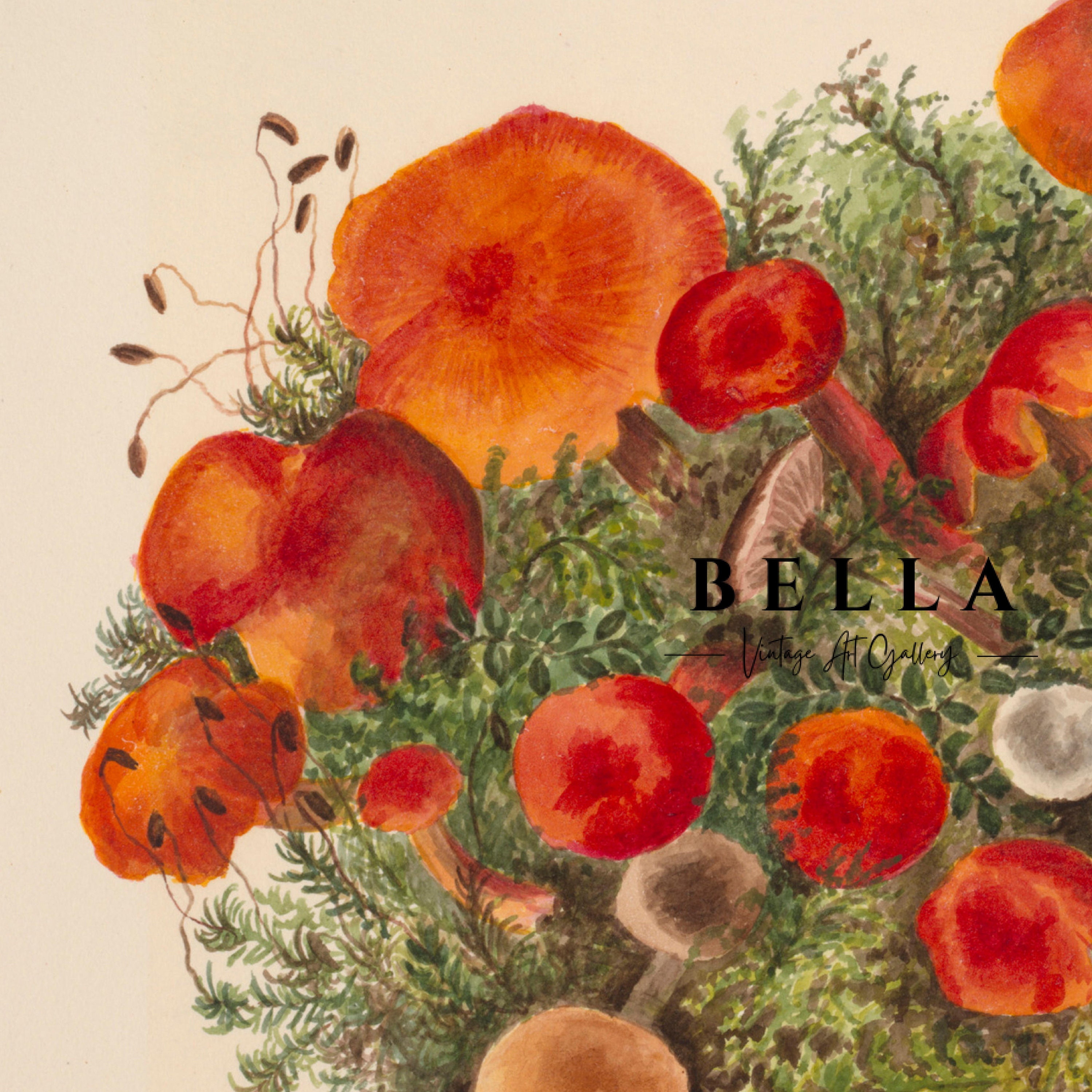 Vintage Mushroom Art Print Botanical Painting Vintage Wall Etsy