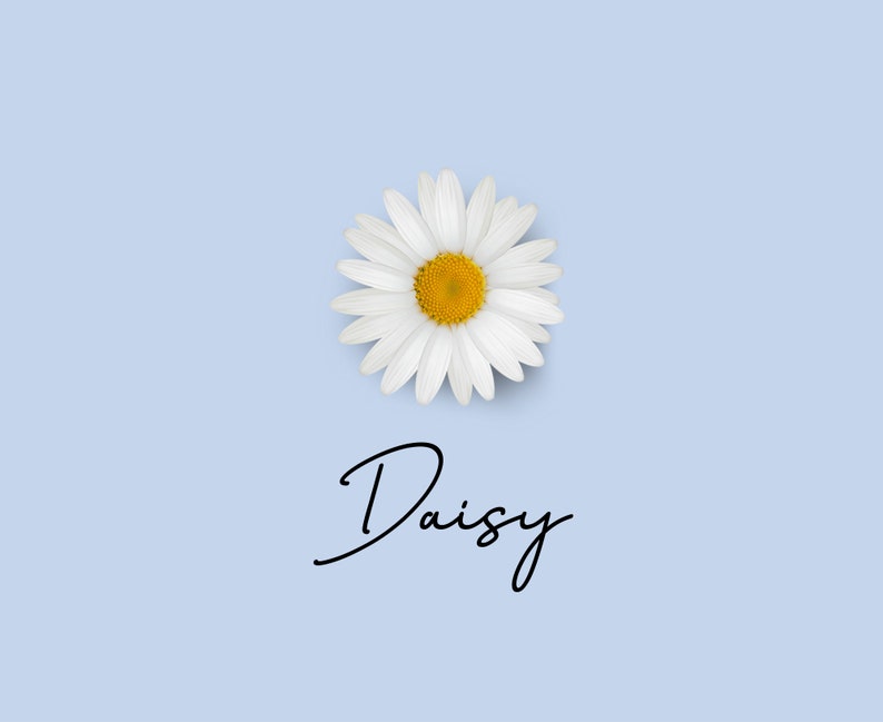 May include: A single white daisy with a yellow center on a light blue background. The word "Daisy" is written in cursive below the flower.