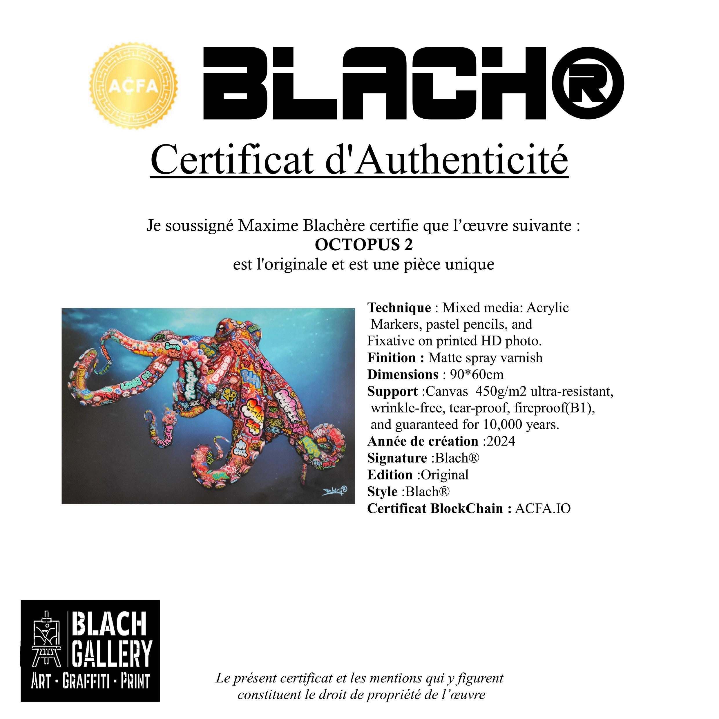 Octopus 2, Original Art By Blach®