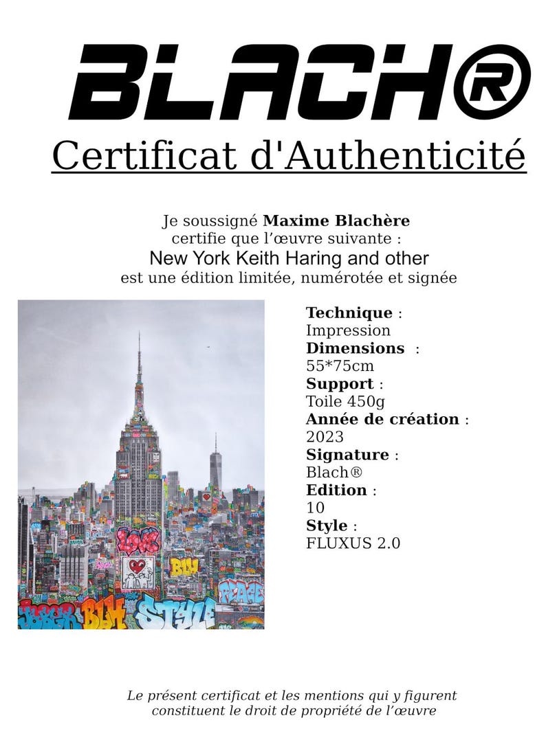 New York Love Keith Haring and others / Limited edition, numbered and signed by Blach® image 10