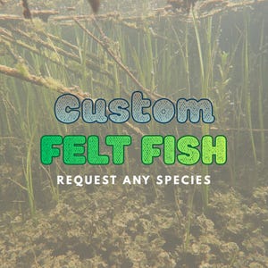 May include: A digital graphic featuring the text CUSTOM FELT FISH in a blue gradient font and REQUEST ANY SPECIES in white text, overlaid on an underwater scene with green aquatic plants, submerged branches, and a textured, murky riverbed.