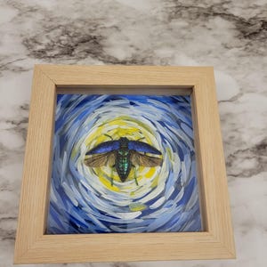 Real Framed Beetle Specimen Polybothris gemma Blue Jewel Beetle Sapphire Jewel Beetle With van Gogh Inspired Background