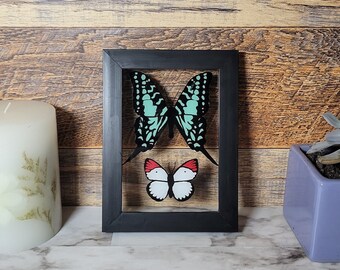 Mini Glass Painting (Faux Shadowbox Butterfly Painting Framed)