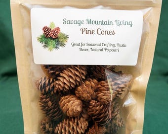 Mini Pine Cones for Crafts - Pack of 30 Natural Small Pinecones 1-1.5"