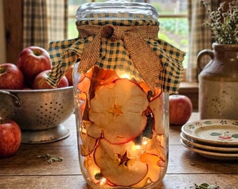 Lighted Country Apple Cinnamon Mason Jar Lamp