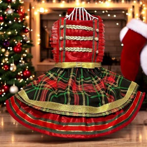 Christmas Nutcracker festive fancy dog dress