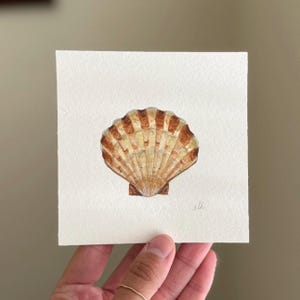 Scallop Shell - Original