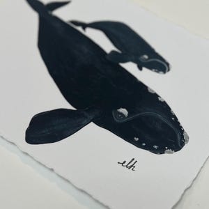 Print-Right Whales