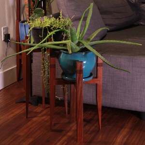 May include: Two potted plants on wooden plant stands. The plant on the left is a green succulent in a black pot. The plant on the right is a green aloe vera plant in a blue pot. The plants are in front of a gray couch.