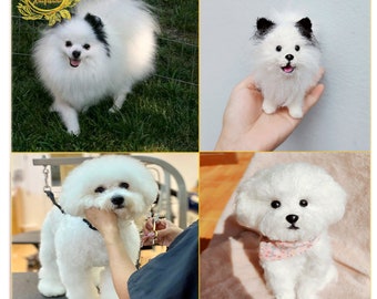 Può includere: Un collage di quattro immagini con cani bianchi e soffici. L'immagine in alto a sinistra mostra un Pomerania bianco con le orecchie nere in piedi sull'erba verde. L'immagine in alto a destra mostra un Pomerania bianco con le orecchie nere seduto nella mano di una persona. L'immagine in basso a sinistra mostra un Bichon Frisé bianco che viene tosato da una persona. L'immagine in basso a destra mostra un Bichon Frisé bianco seduto su una superficie marrone.