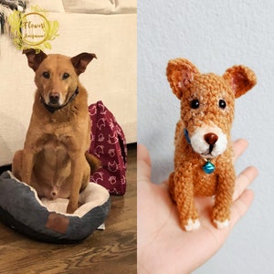 May include: A brown crocheted amigurumi dog with a blue collar and a bell. The dog is sitting on a hand.