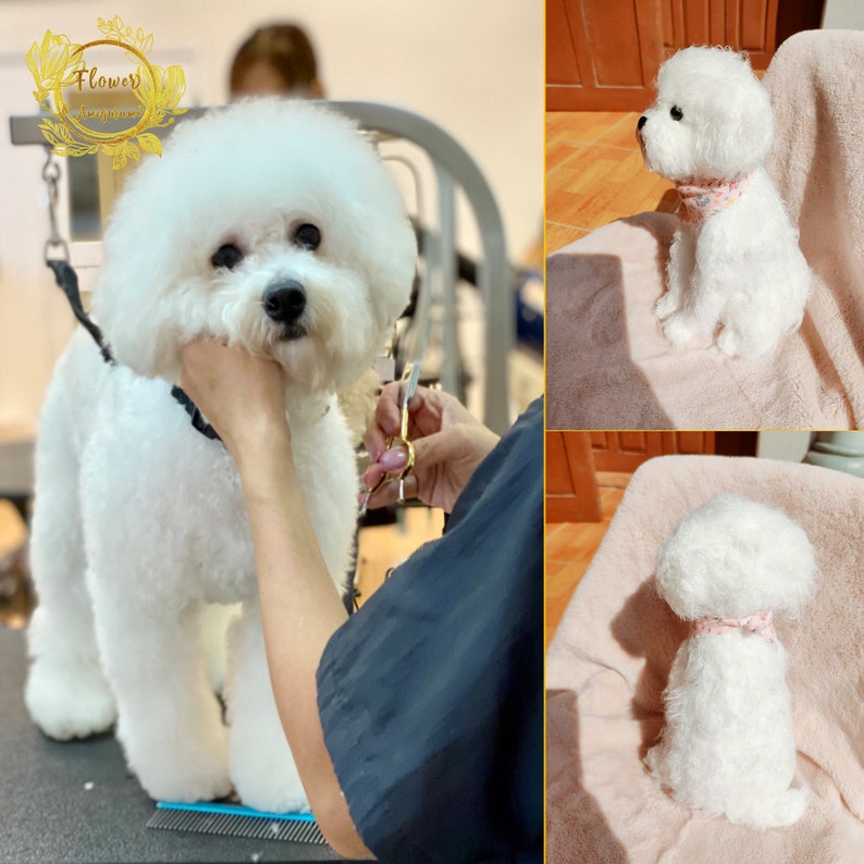 May include: A white Bichon Frise dog is getting groomed by a person. The dog is standing on a grooming table with a blue grooming comb in the foreground. The dog is wearing a black collar and leash. The dog is looking at the camera. The person is holding a pair of scissors in their right hand. The person is wearing a black shirt. The dog is in a grooming salon. The salon has a sign that says "Flower Journey".