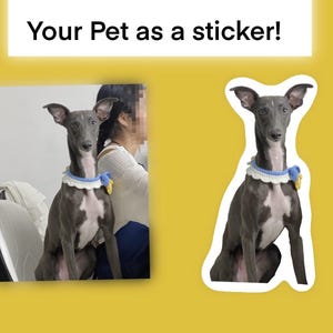 Adesivo personalizzato per animali domestici / Adesivo personalizzato per cani o gatti da foto / Adesivo in vinile impermeabile / Regalo commemorativo per animali domestici