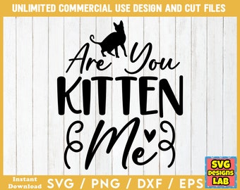 Are You Kitten Me - Cat SVG, Cat svg Files, Cat SVG Bundle, Cat Quotes svg, Cat Sayings svg