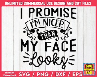 May include: Black and white digital design with the text "I PROMISE I'M NICER THAN MY FACE LOOKS". The design includes decorative elements and is suitable for cutting files. The image also includes the text "SVG / PNG / DXF / EPS".