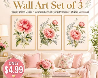 Set di 3 stampe da parete con peonie rosa pastello, decorazioni preppy per dormitorio, stampe floreali Grandmillennial, stampe in stile cottage costiero, download digitale