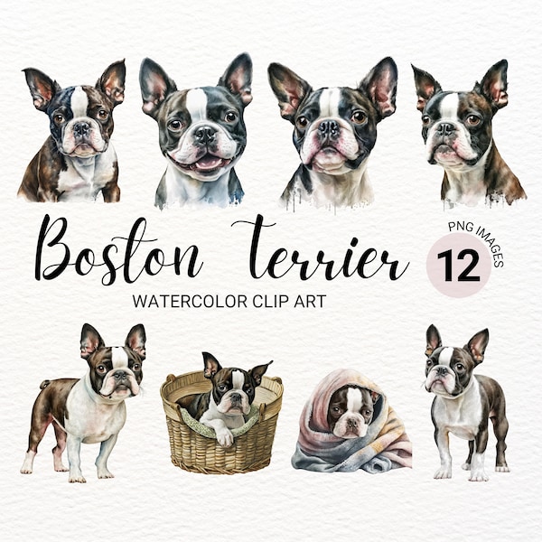 Boston Terrier Art - Etsy