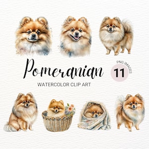Pommern Clipart | Hund PNG | Aquarell Hund Clipart | Hundeportrait | Welpen Bilder | Kinderzimmer Wand Kunst | Hund Liebhaber Geschenk