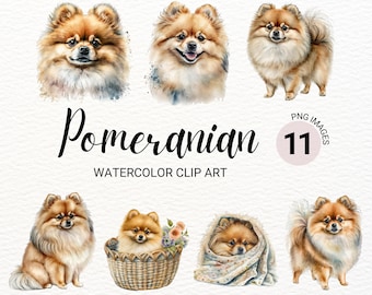 Pomeranian Clipart | Dog PNG | Watercolor Dog Clipart | Dog Portrait | Puppy Images | Nursery Wall Art | Dog Lover Gift