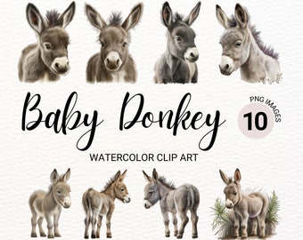 Baby Esel PNG | Baby-Tiere | Bauernhof Tiere PNG | Süßer Esel | Kinderzimmer Wand Kunst | Bauernhof PNG | Aquarell Tiere Clipart