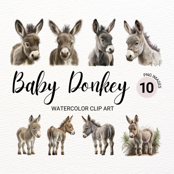 Baby Donkey PNG | Baby Animals | Farm Animals PNG | Cute Donkey | Nursery Wall Art |  Farm PNG | Watercolor Animals Clipart