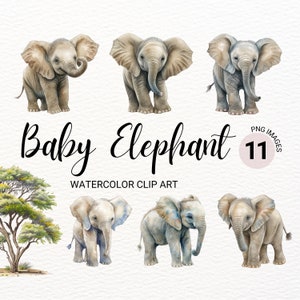 Bebê Elefante PNG | Clipart de animais bebê | Clipart de elefante aquarela | Clipart de chá de bebê elefante | Clipart de animais | Decoração de berçário