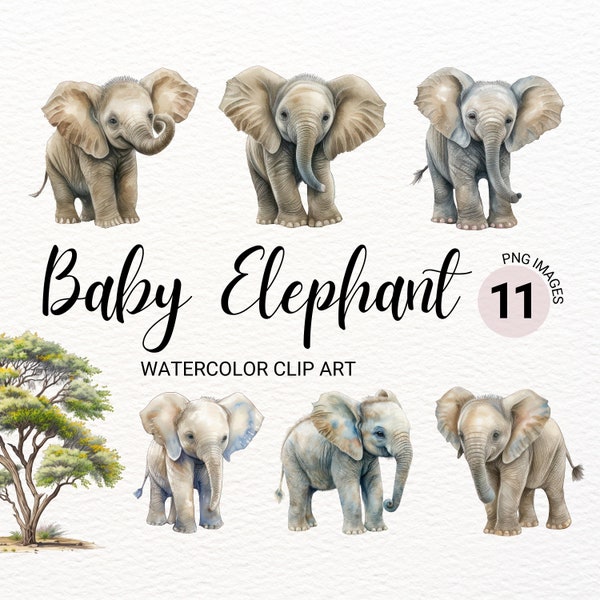 Baby Elephant PNG | Baby Animals Clipart | Watercolor Elephant Clipart | Elephant Baby Shower Clipart | Animal Clipart | Nursery Decor