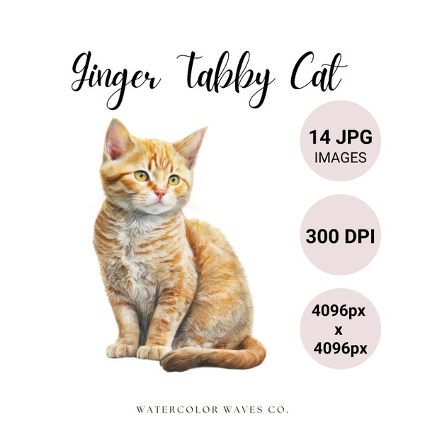 Ginger Tabby Cat Clipart | Watercolor Tabby Cat Clipart Bundle | Cute Pet Portrait | Kitten JPG | Junk Journal | Digital Planner Images