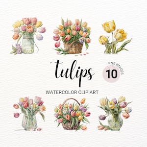 Clipart tulipano / PNG tulipano acquerello / PNG floreale / Clipart estivo / Clipart fiori / Invito a nozze / PNG sfondo trasparente