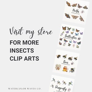 Watercolor Ladybug Clipart | Insect Clipart | Junk Journal | Flower ...