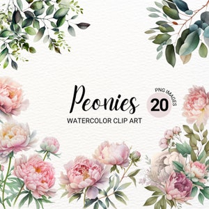 Rosa & weiße Pfingstrosen Clipart | Weiße Blume Clipart | Blumen PNG | Aquarell Pfingstrosen | Transparenter Hintergrund PNG | Frühling Clipart