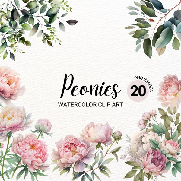 Pink & White Peonies Clipart | White Flower Clipart | Floral PNG | Watercolor Peonies | Transparent Background PNG | Spring Clipart