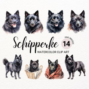 Schipperke Hund Clipart | Aquarell Hund PNG | Hundeportrait | Welpe Collage Bilder | Junk Journal | Digitaler Planer | Papierkunst