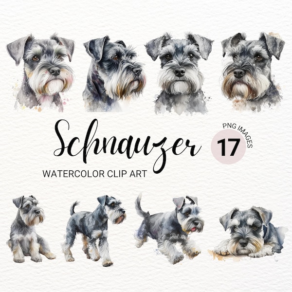 Miniature Schnauzer Clipart | Cute Dog Clipart | Dog PNG | Watercolor Schnauzer PNG | Schnauzer Wall | Dog Portrait | Puppies Clipart