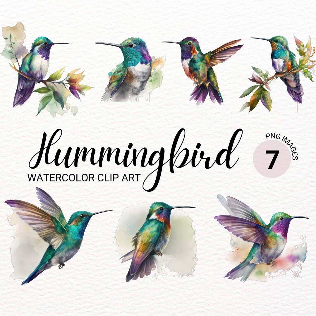 Hummingbird PNG Humming Bird Watercolor Bird Clipart Cute Colorful Bird
