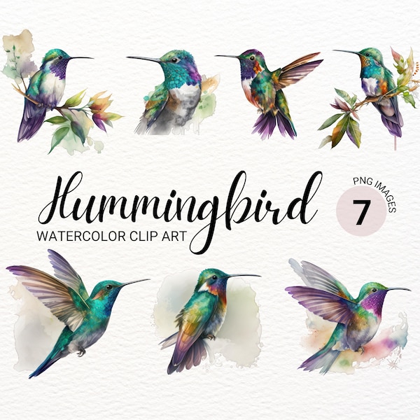 Hummingbird PNG | Humming Bird Watercolor Bird Clipart | Cute Colorful Bird PNG | Nursery Decor | Baby Shower Clipart | Digital Paper Craft