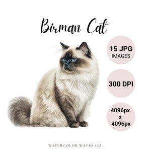Gato Birmanês JPG | Pacote de clipart de gato Birman em aquarela | Retrato de animal de estimação fofo | Gatinho JPG | Jornal Lixo | Planejador Digital | Imagens de colagem