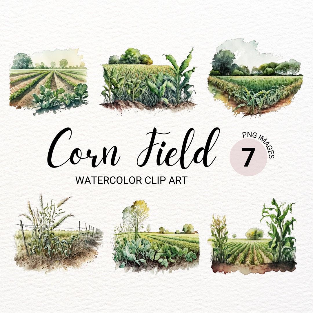 Corn Field Clipart Farm Landscape Watercolor Corn Field Landscape Grass
