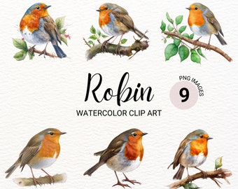 Robin Bird Clipart | Robin Bird PNG | Watercolor Bird Clipart | Cute Colorful Bird | Robin Watercolor | Digital Paper Craft
