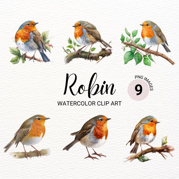 Robin Bird Clipart | Robin Bird PNG | Watercolor Bird Clipart | Cute Colorful Bird | Robin Watercolor | Digital Paper Craft